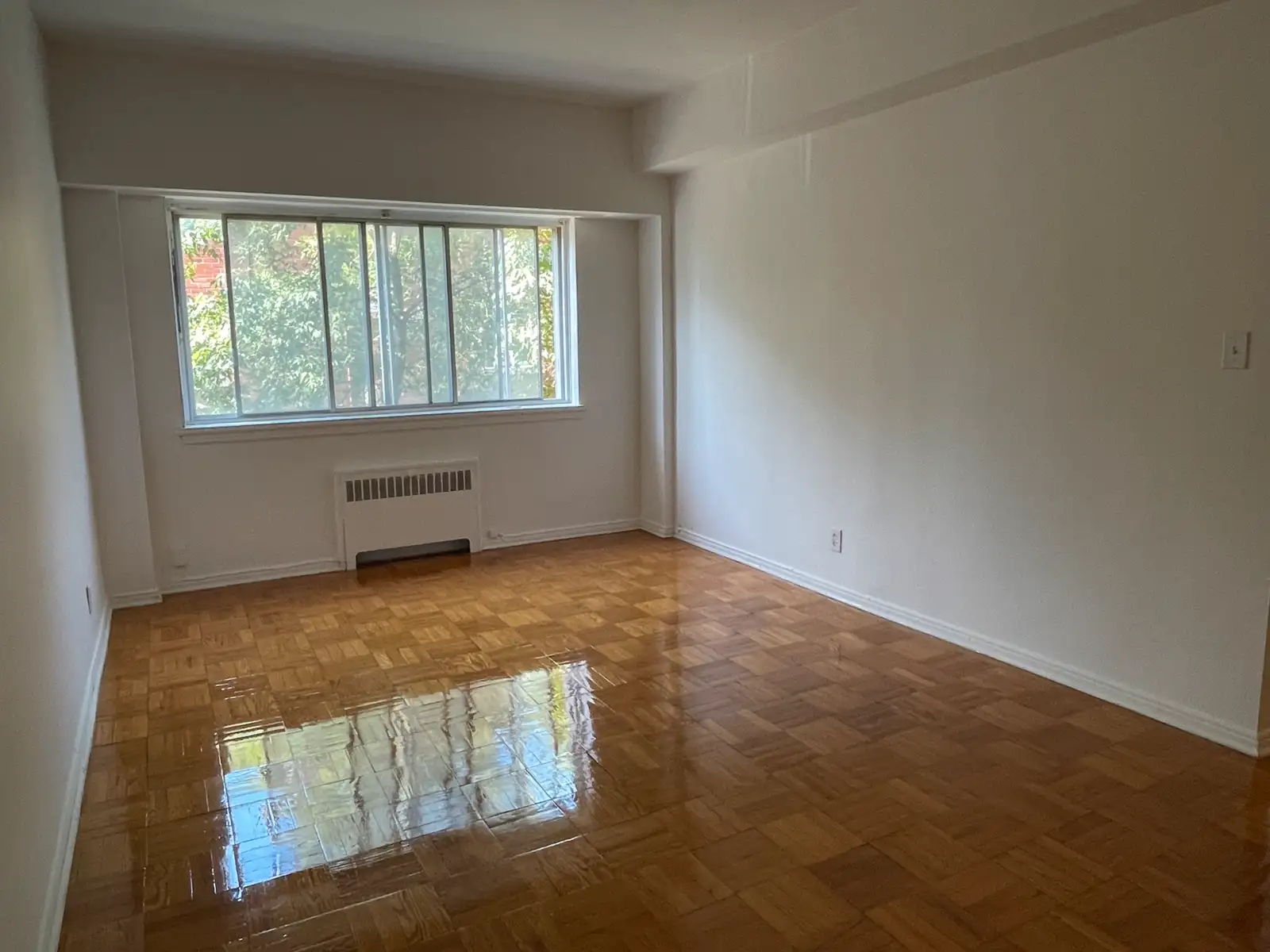 https://www.kijiji.ca/v-view-details.html?adId=1525863879 | 190205803