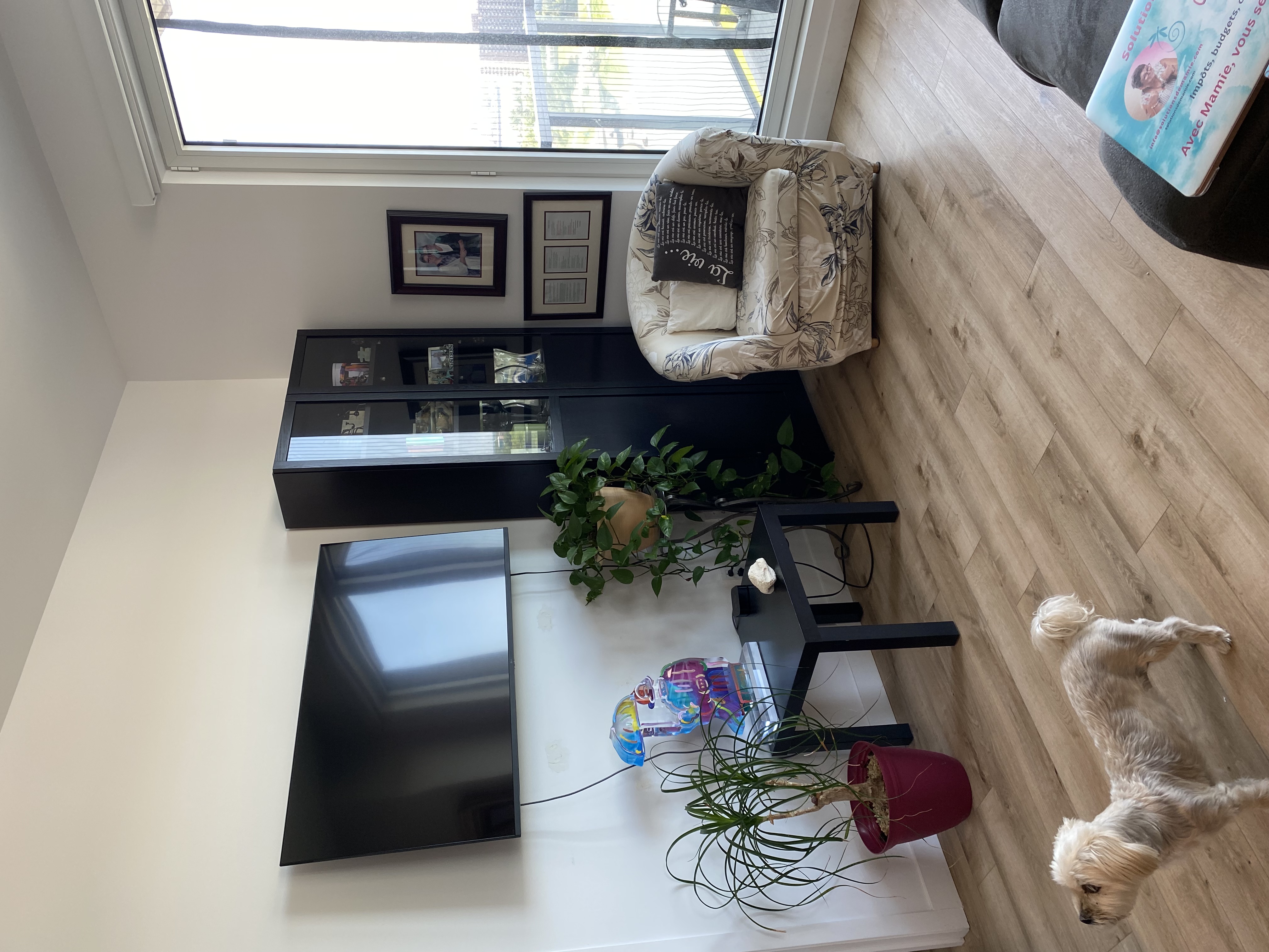 Luxury 2 beds 2 baths sublet for August 1 | 1279282774