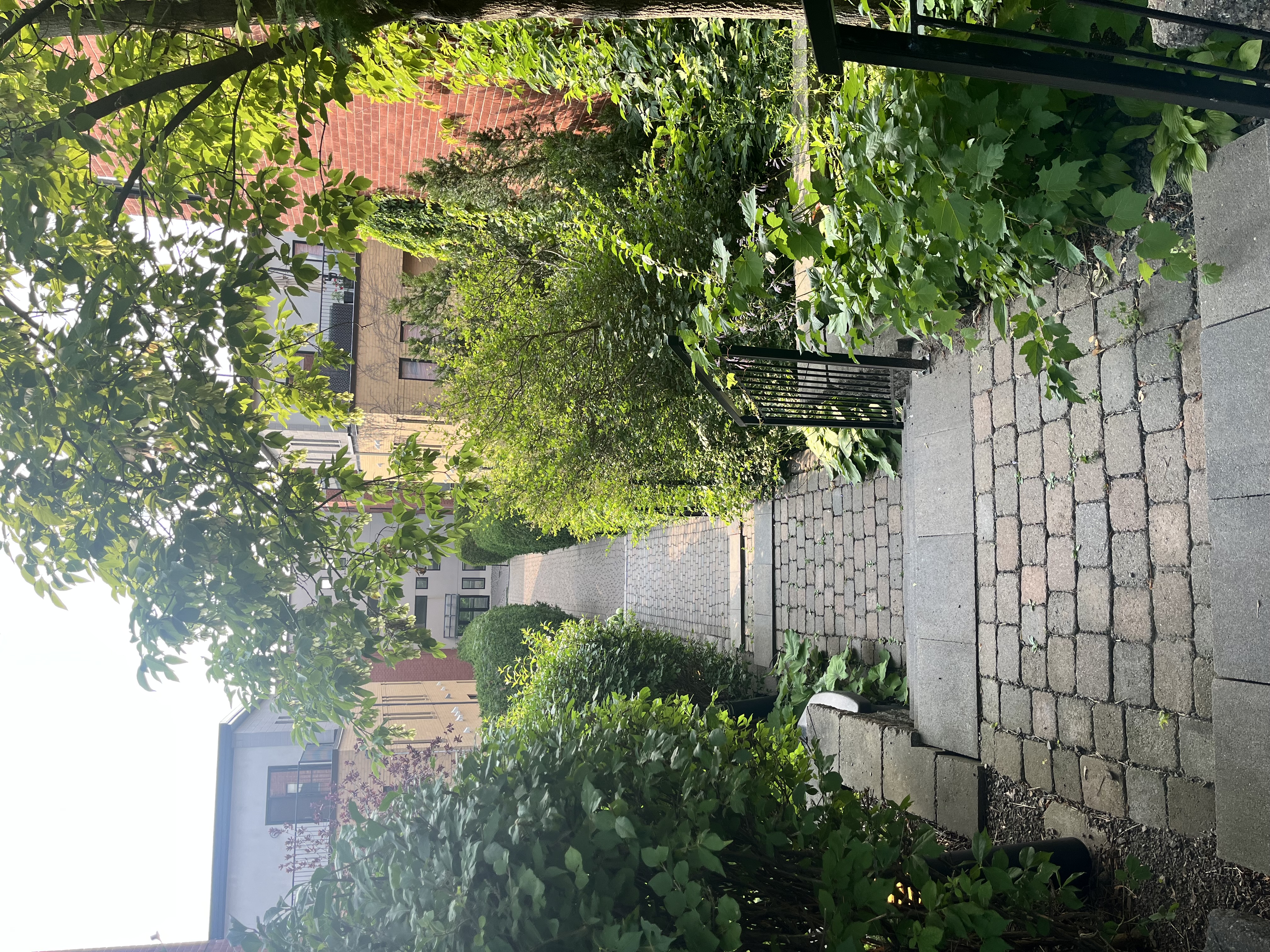 Condo 2 chambres à louer / 2-Bedroom Condo for Rent – Outremont | 363001508