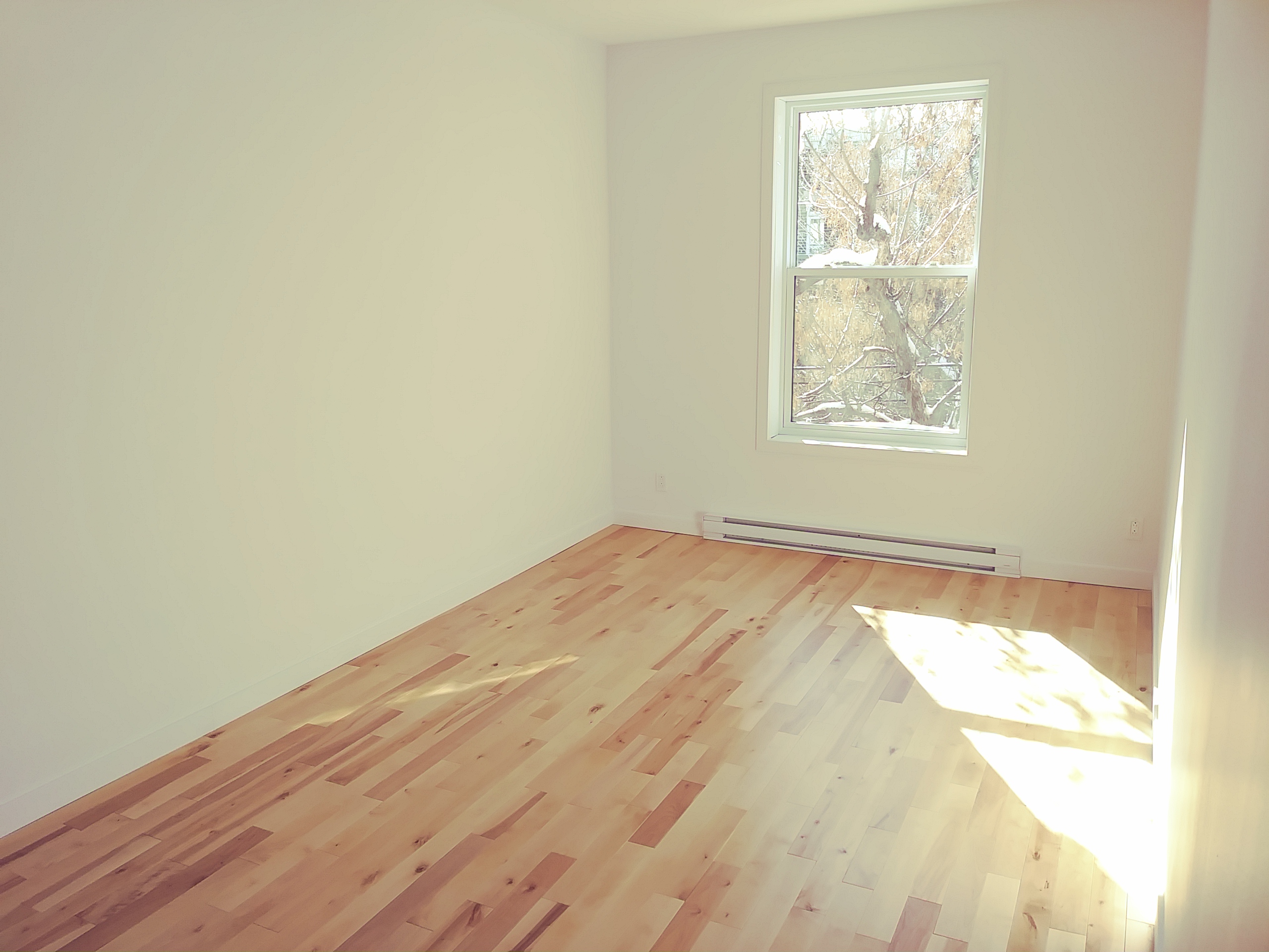 5 et demi dans Hochelaga pour le 1er septembre | 415650382
