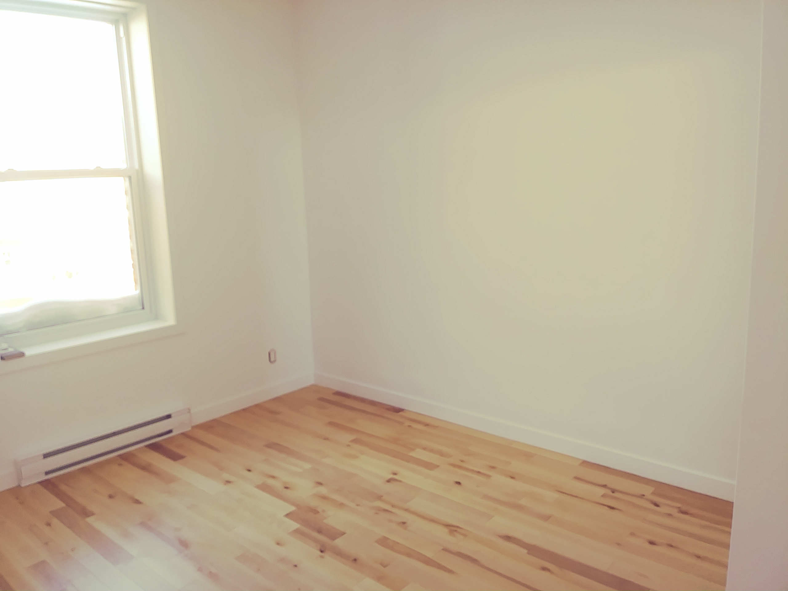 5 et demi dans Hochelaga pour le 1er septembre | 415650382