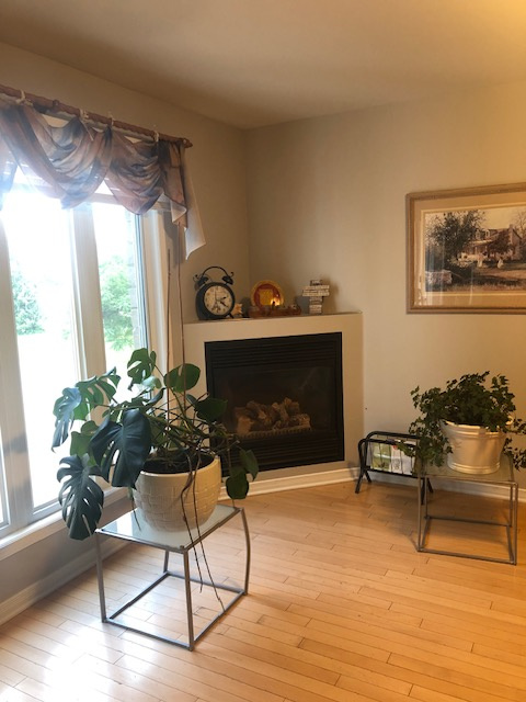 Chambre semi meublée en colocation à Hull | 443253909