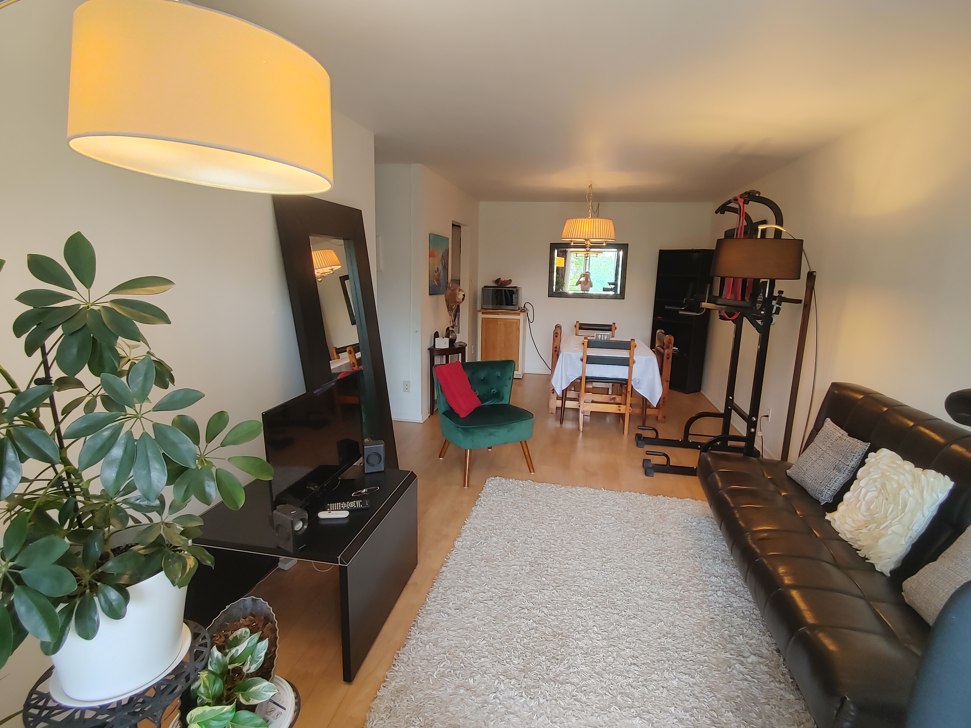 GRAND  4 1/2 Béton  Ensoleillé | 860391013