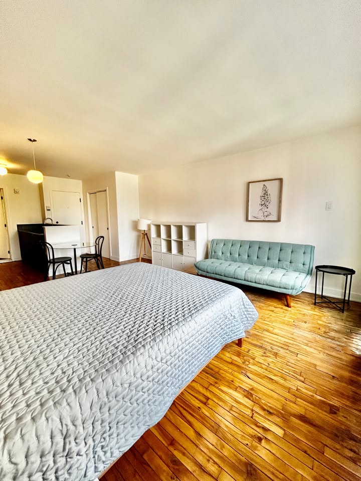 Studio meublé 1250$ - 1er octobre 2025 | 1188254638