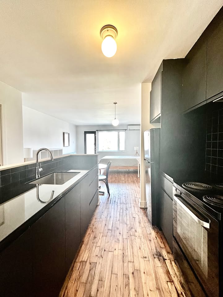 Studio meublé 1250$ - 1er octobre 2025 | 1188254638