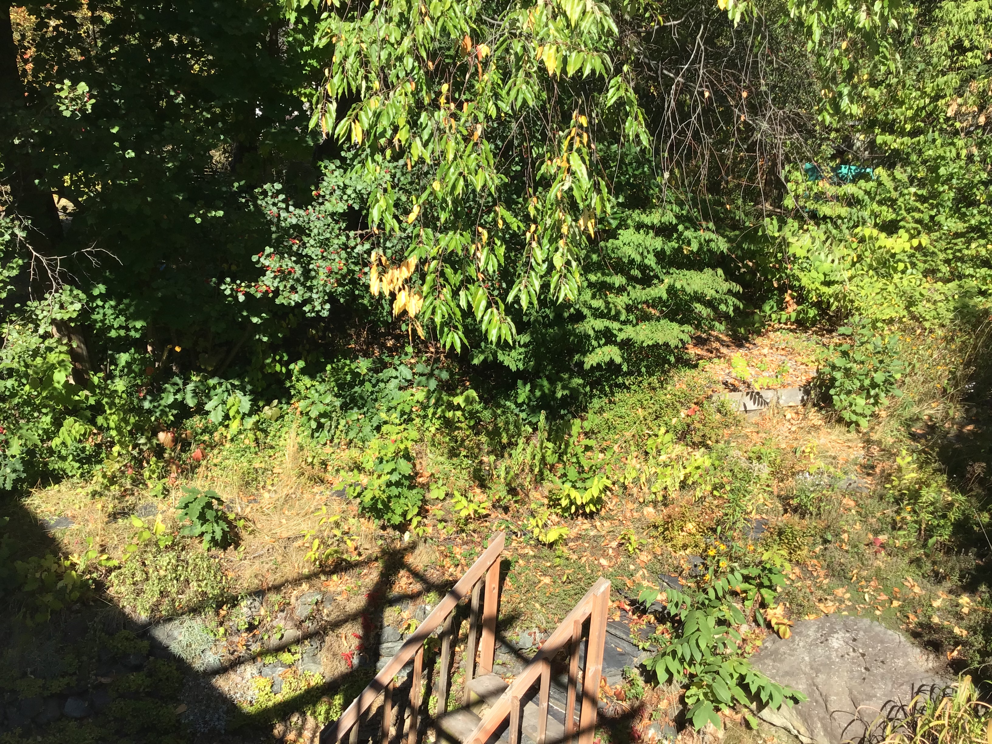 Appartement à louer  | 2133693648