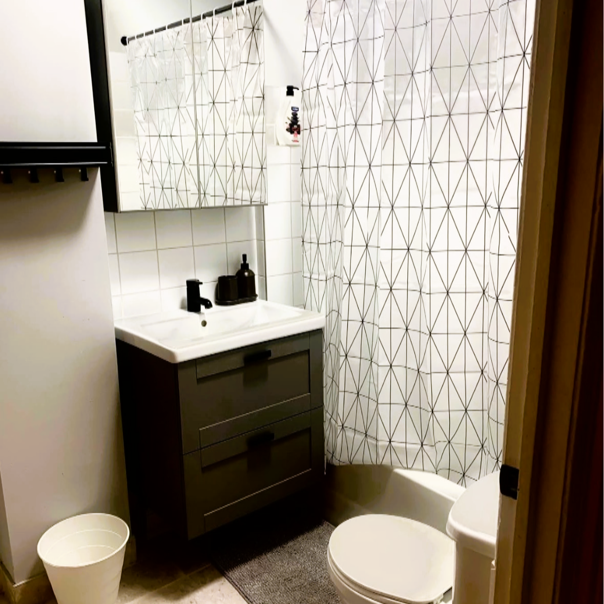 Appartement 4 1/2 entièrement meublé | 274424716
