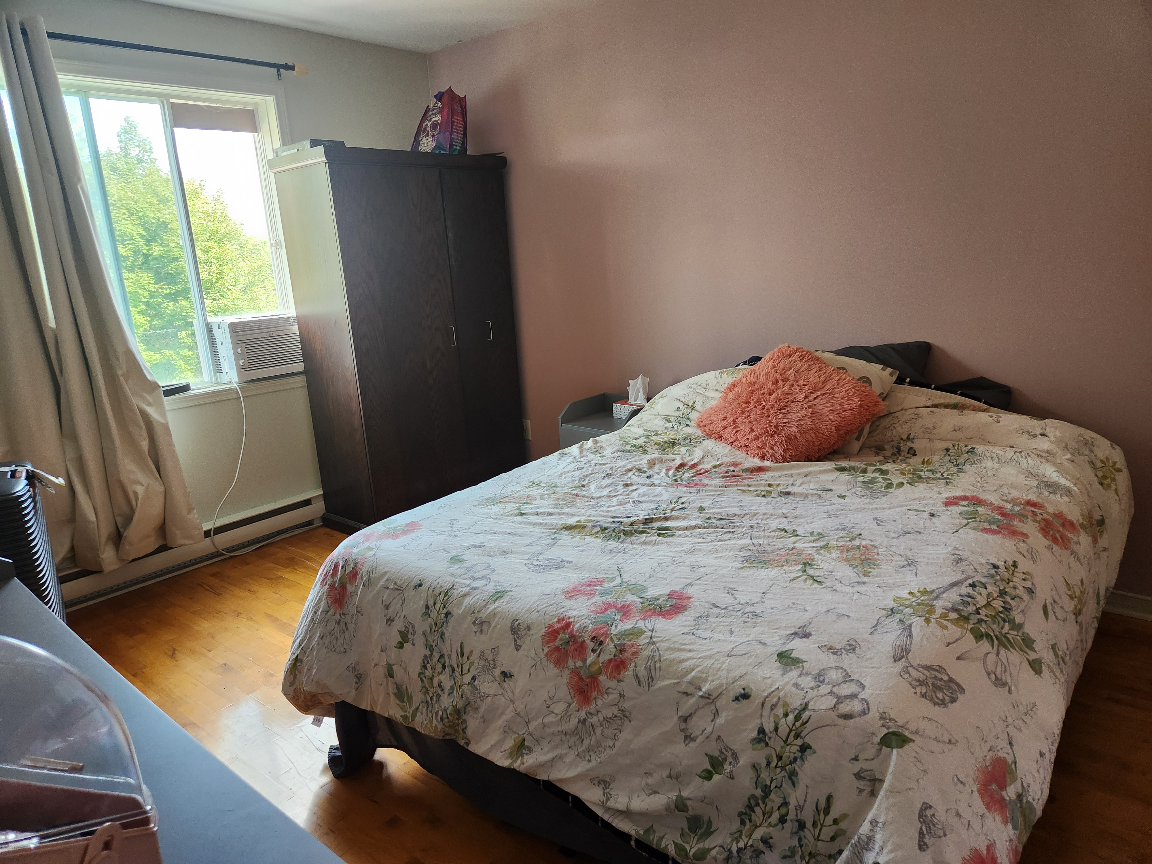 3 1/2 animaux acceptés  | 1936590524