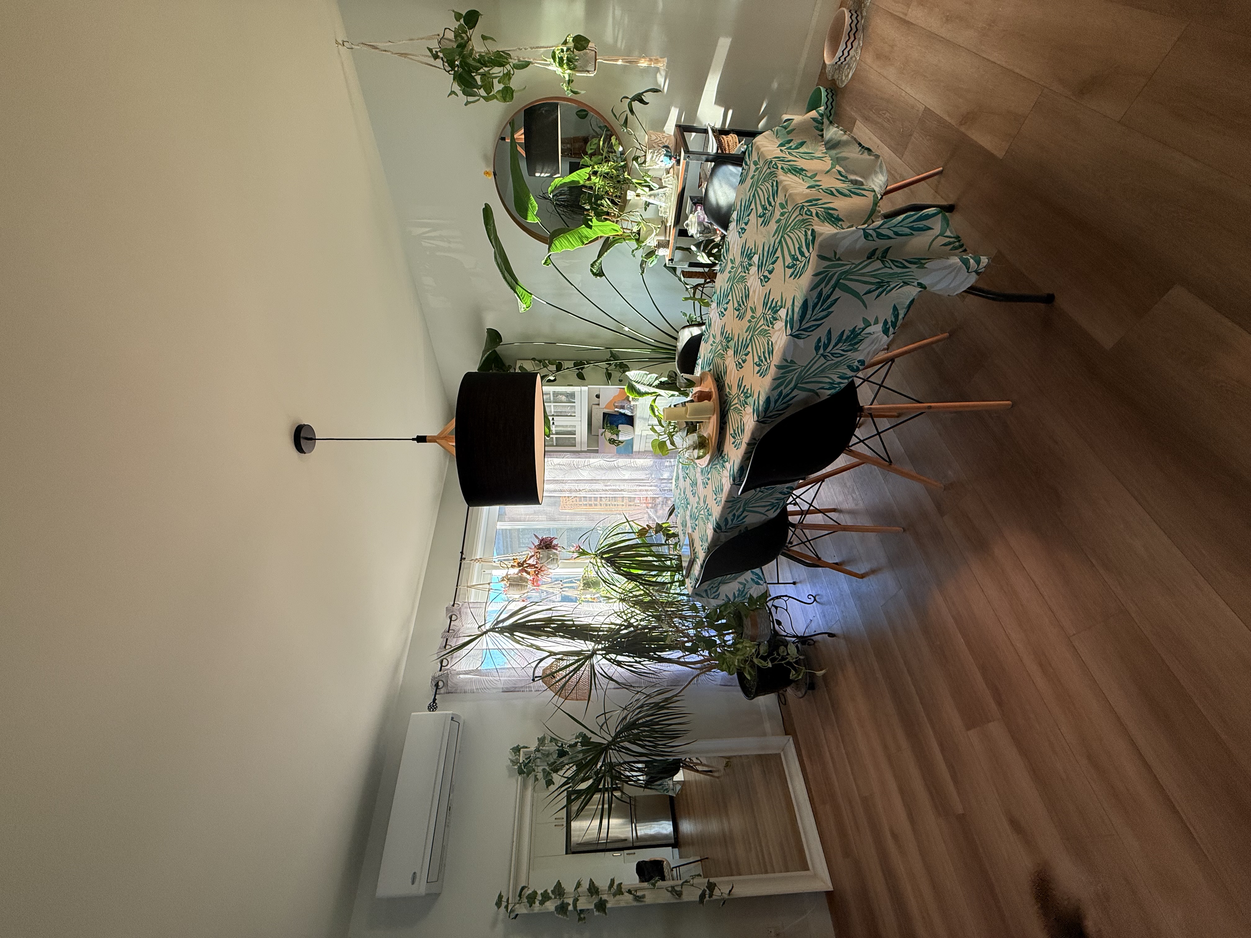 Superbe 5 1/2 - ANIMAUX ACCEPTÉS | 801680453
