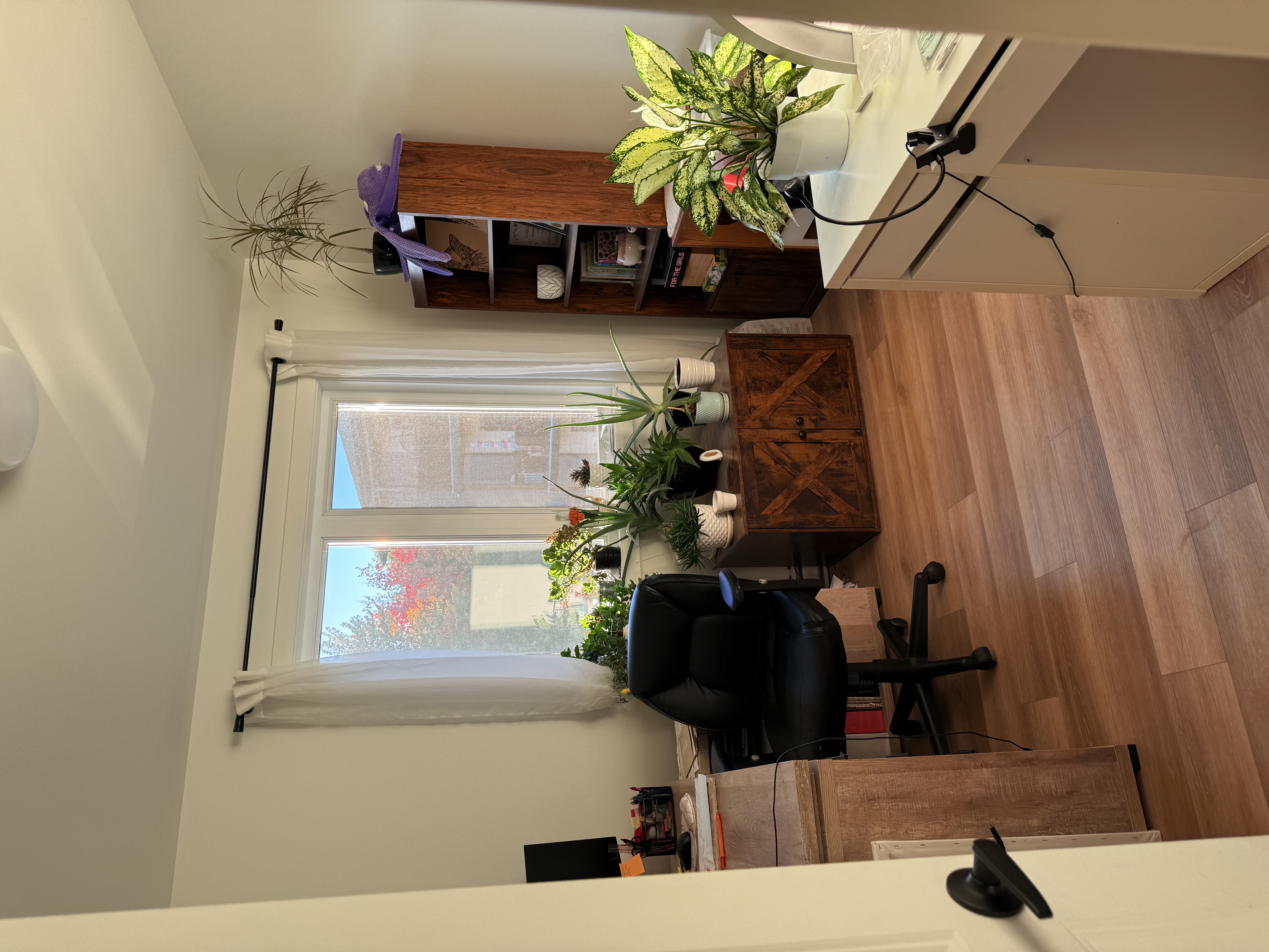 Superbe 5 1/2 - ANIMAUX ACCEPTÉS | 801680453
