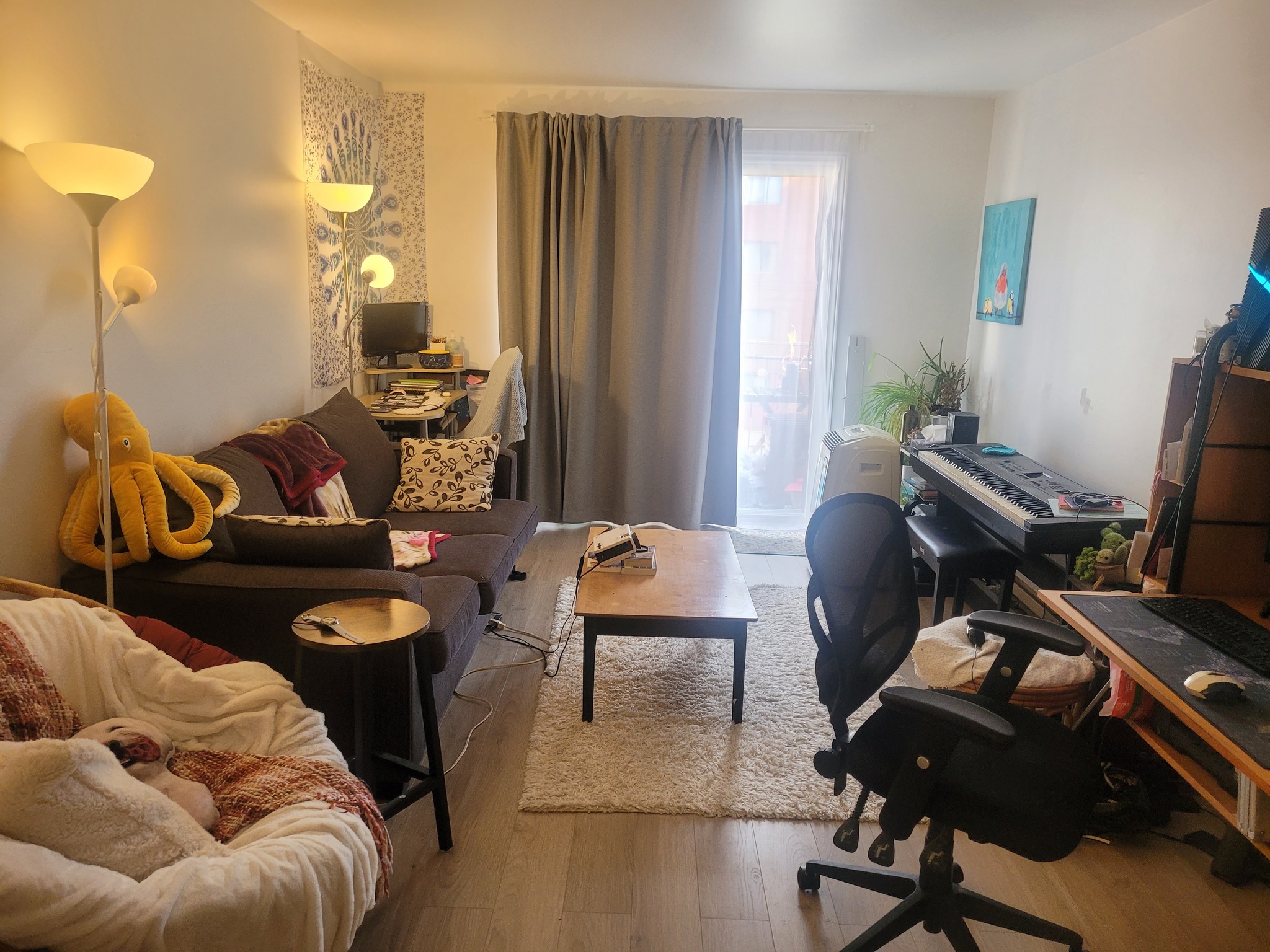 3 1/2 + parking | 2033523253