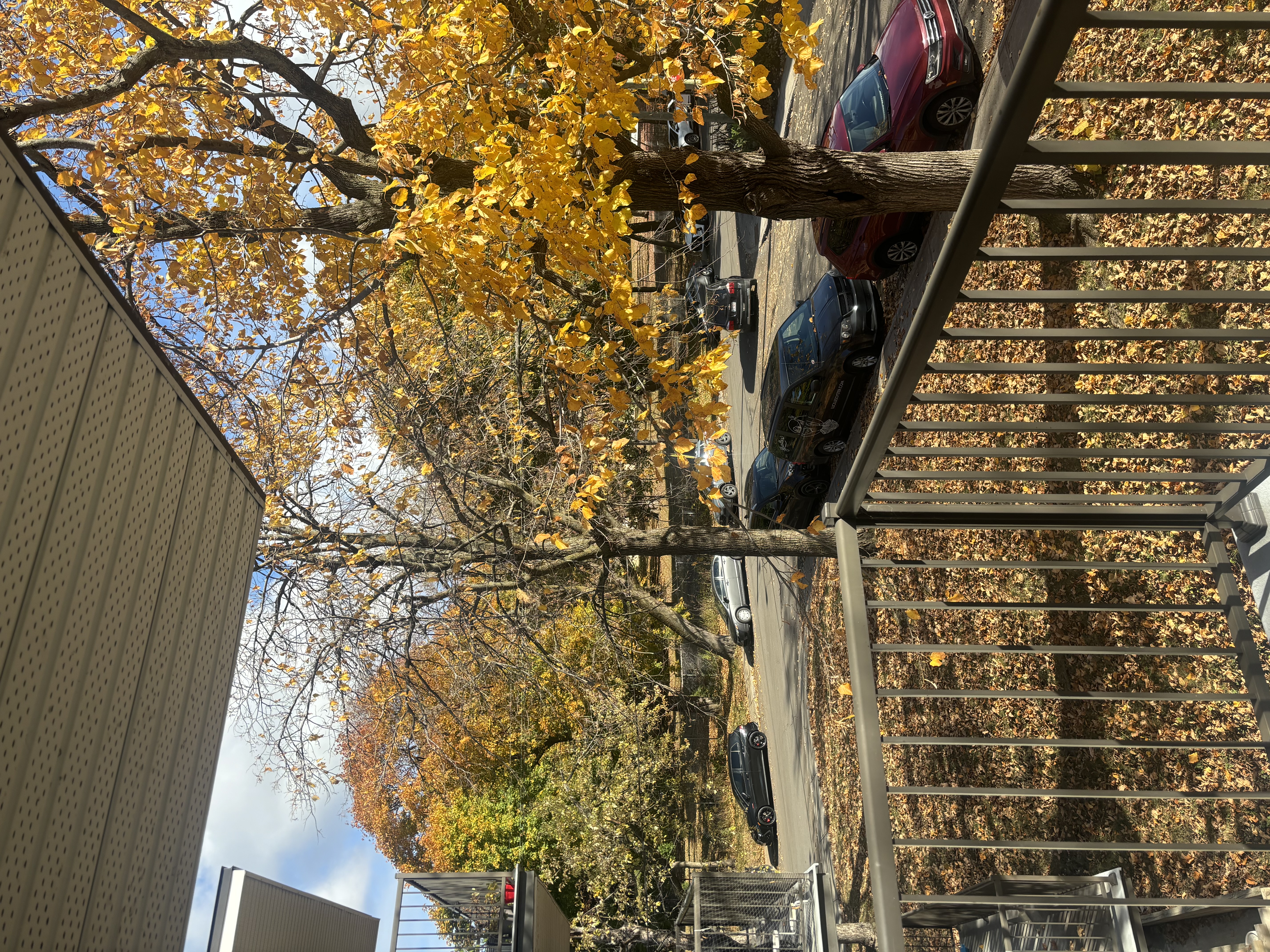 Cession de bail 3 1/2 - 1,325$ CdN / Lease transfer 1 bd - 1,325$ CdN | 119410230