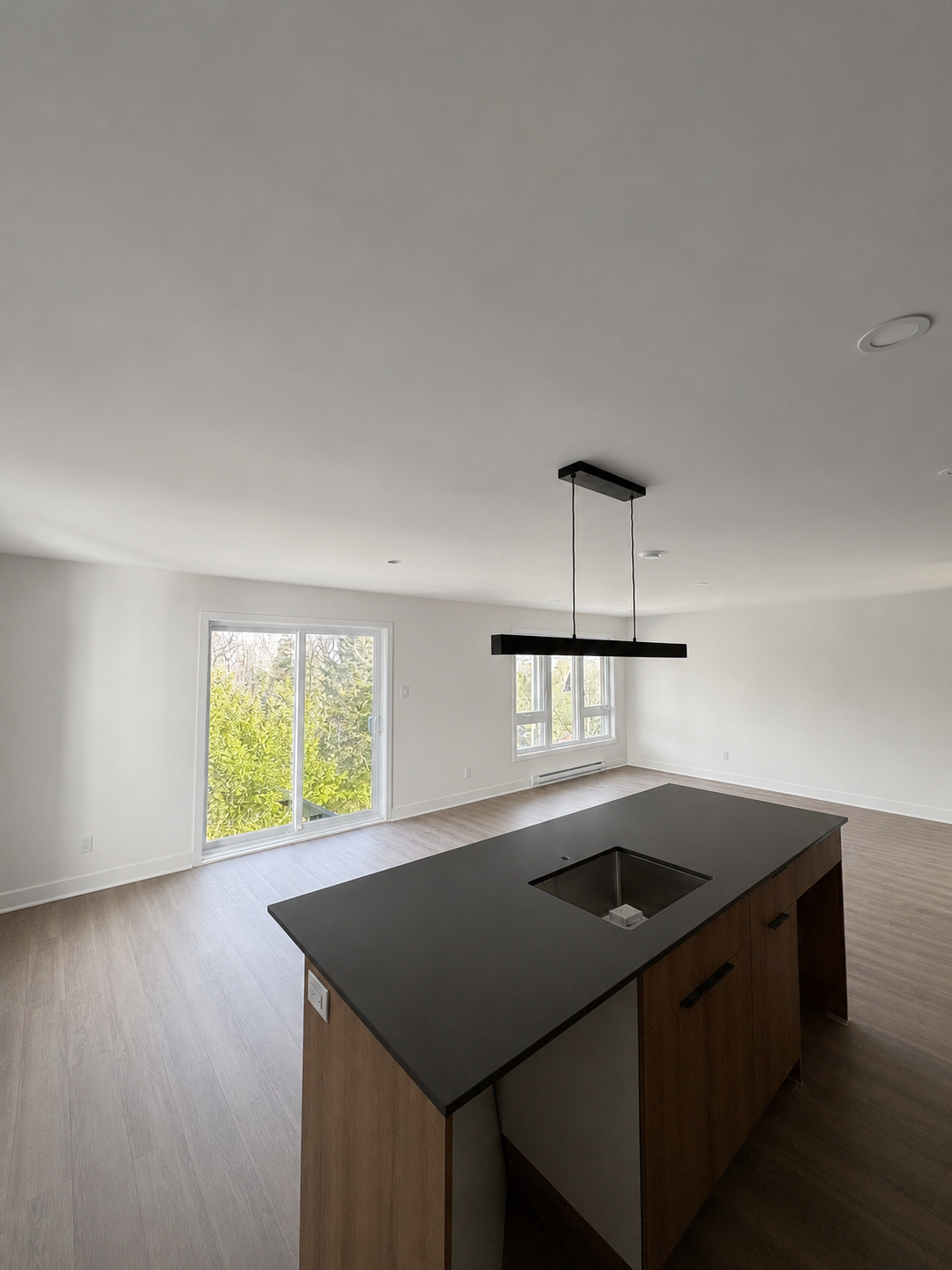 Appartement 4 1/2 - Sainte-Adèle | 24389431