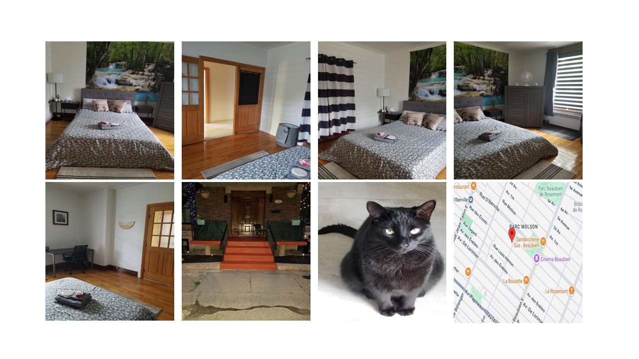 CHAMBRE À LOUER POUR ÉTUDIANT | 141362786