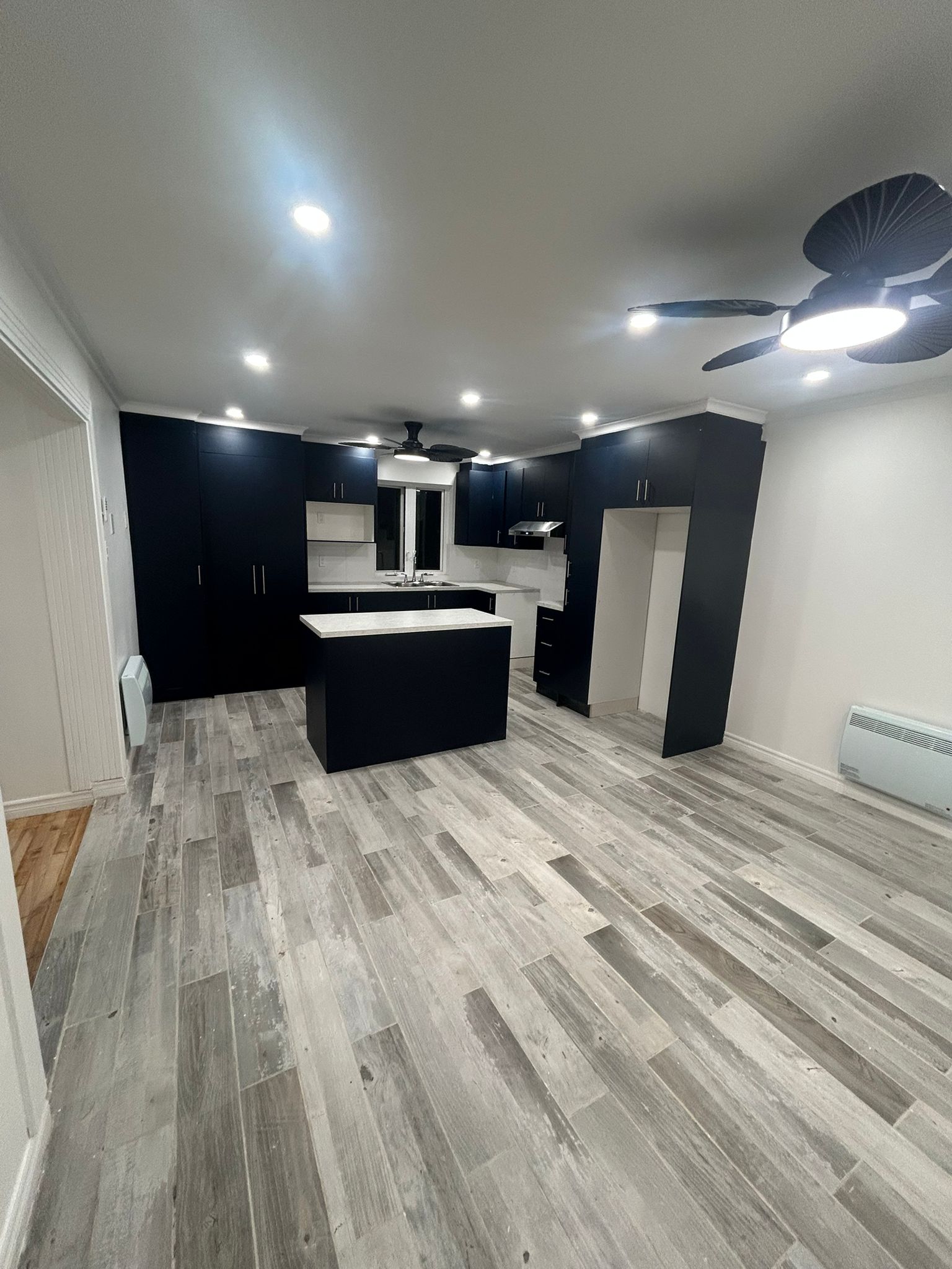 🏡 4 1/2 RÉNOVÉ - 2E ÉTAGE DE TRIPLEX - 1 495$/MOIS 🏡 | 1969406410