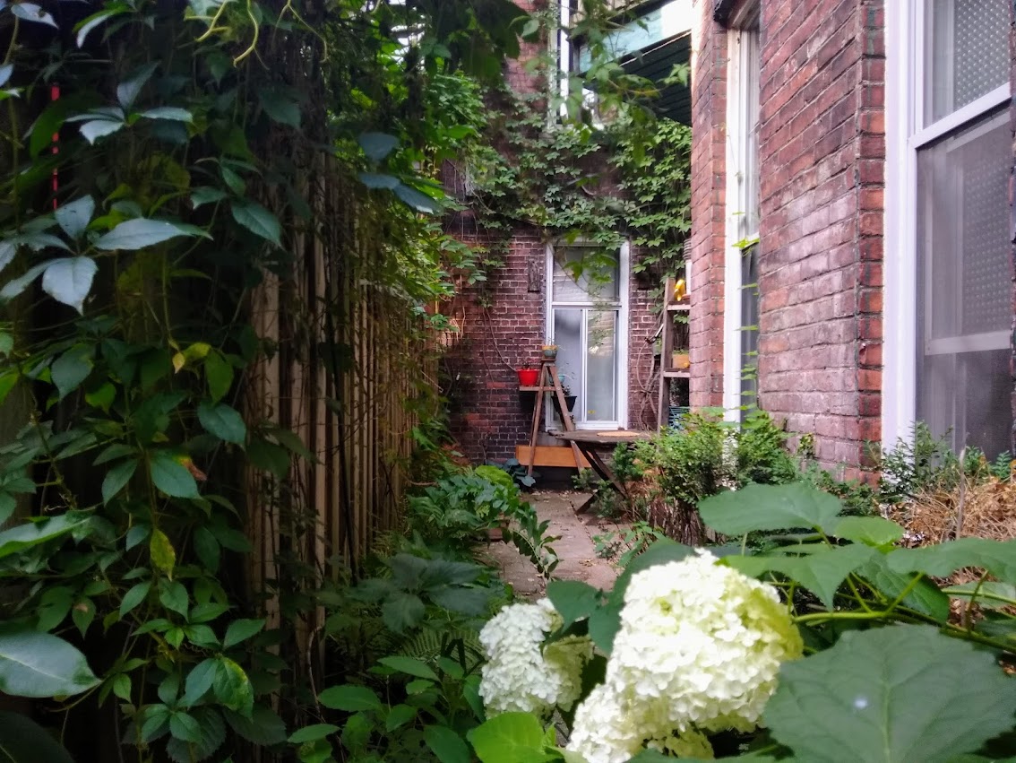 Grand 5 ½ Berri Uqam, 1er Sept, cession de bail  | 394535945