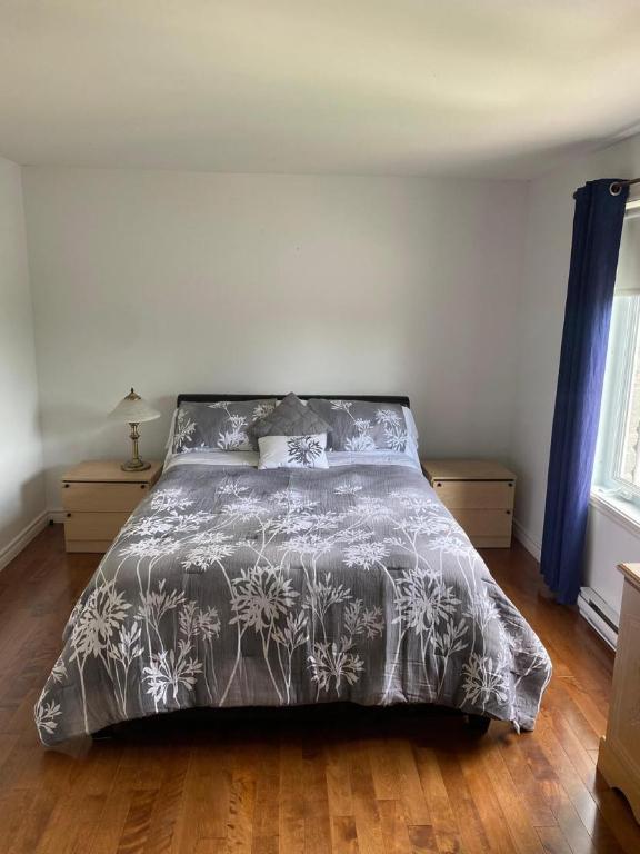 Superbe appartement de 2 chambres avec localisation au secteur Beauport de la ville Québec. | 3236105