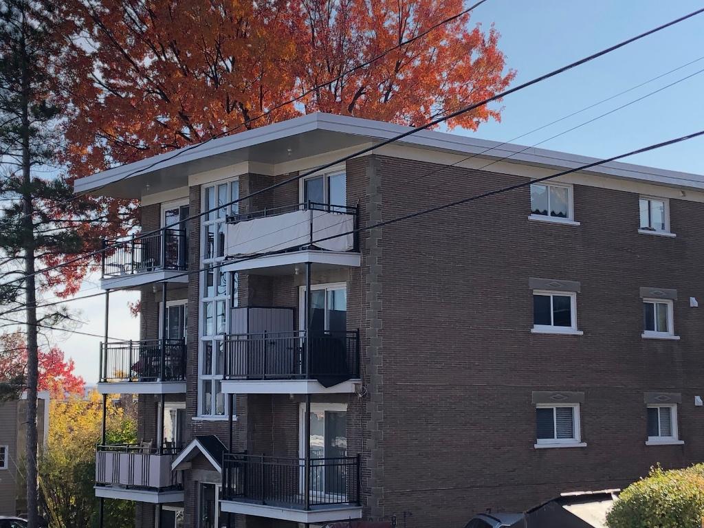 Grand appartement 4 1/2 semi-meublé (2 chambres), à louer | 3038195