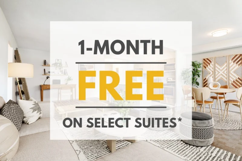 York Mills and Leslie | 2646237