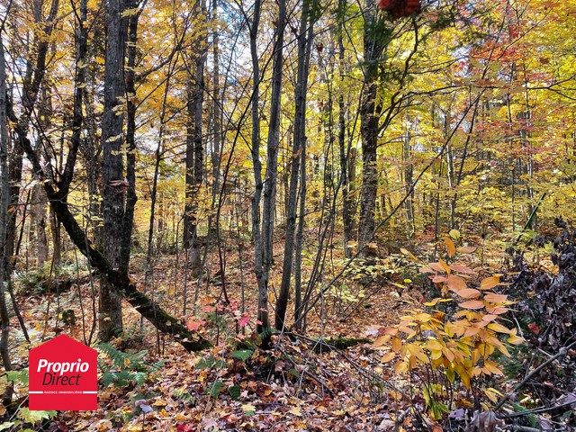 Terrain Résidentiel Mille-Isles À Vendre | 2882267