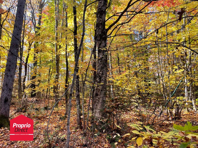 Terrain Résidentiel Mille-Isles À Vendre | 2882267