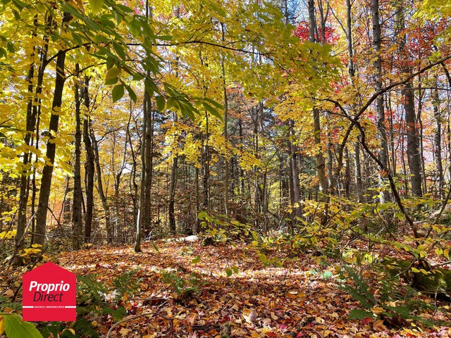 Terrain Résidentiel Mille-Isles À Vendre | 2882267
