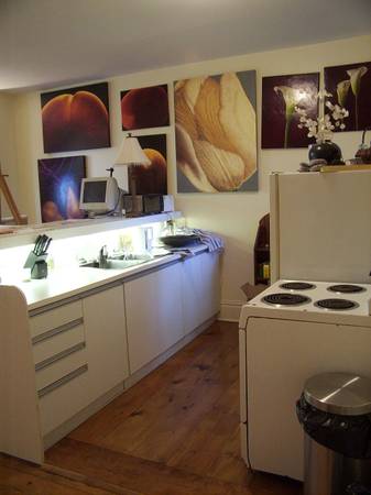 LRG AND BRIGHT 1 BDRM APT quiet st close to shops, transport and park | 2693966