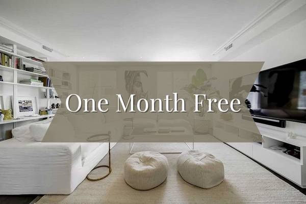 Lower-384 Spadina Rd :Vacant!1-bedroom, 1-bathroom lower level | 2694091