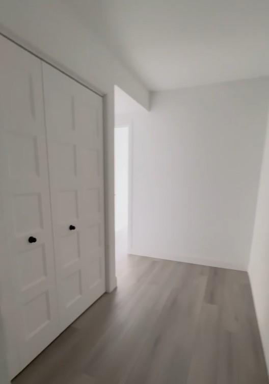 4½ neuf pour 1e juillet unité 303 | 3091368