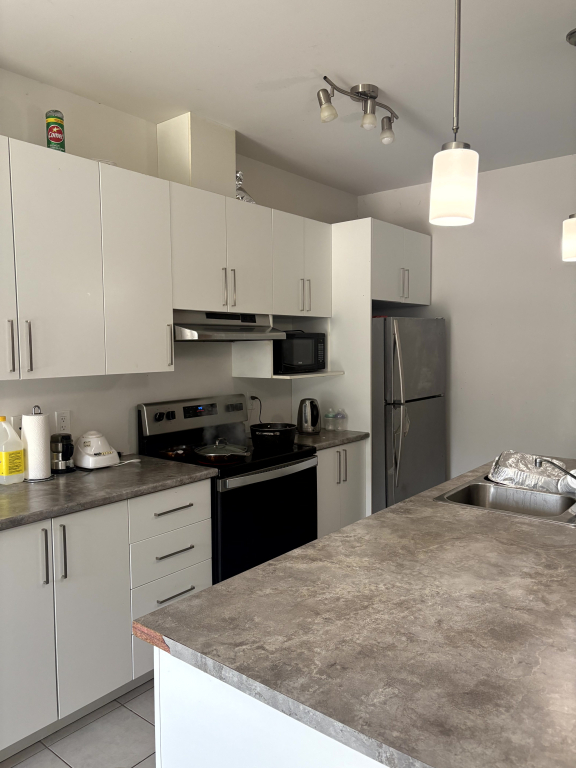 Grand Logement 3 Chambres - Hull | 2820762