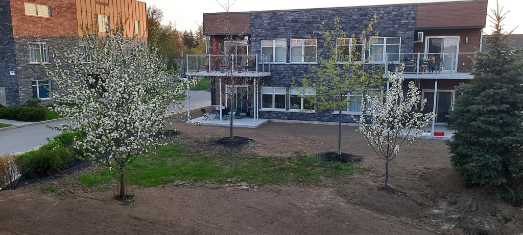 Apparemment à Louer | 2826860