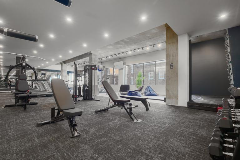 3 ½ entièrement meublé à louer Saint-Jean-Baptiste août 2025 | 2964070