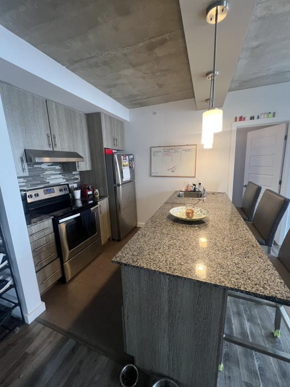 TRÈS GRAND CONDO 2 CHAMBRES CENTRE VILLE | 2831297