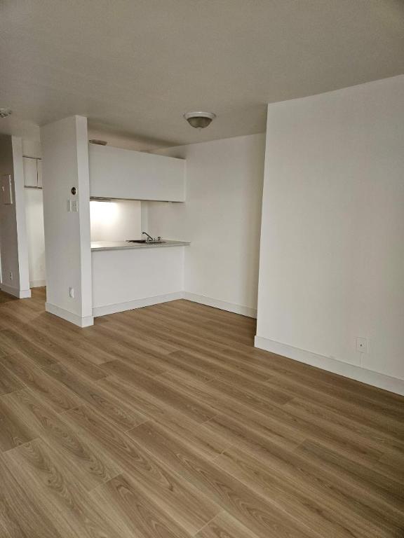 1 CH - 1 SDB - Montréal - $1,295 /mo | 2834632