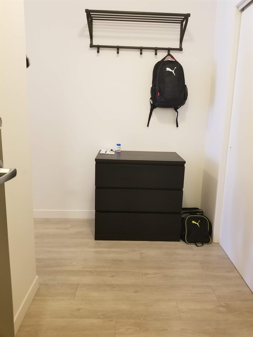 Studio - Montréal - $1,195 /mo | 2835310