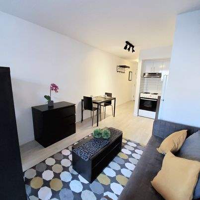 Studio - Montréal - $1,195 /mo | 2835311