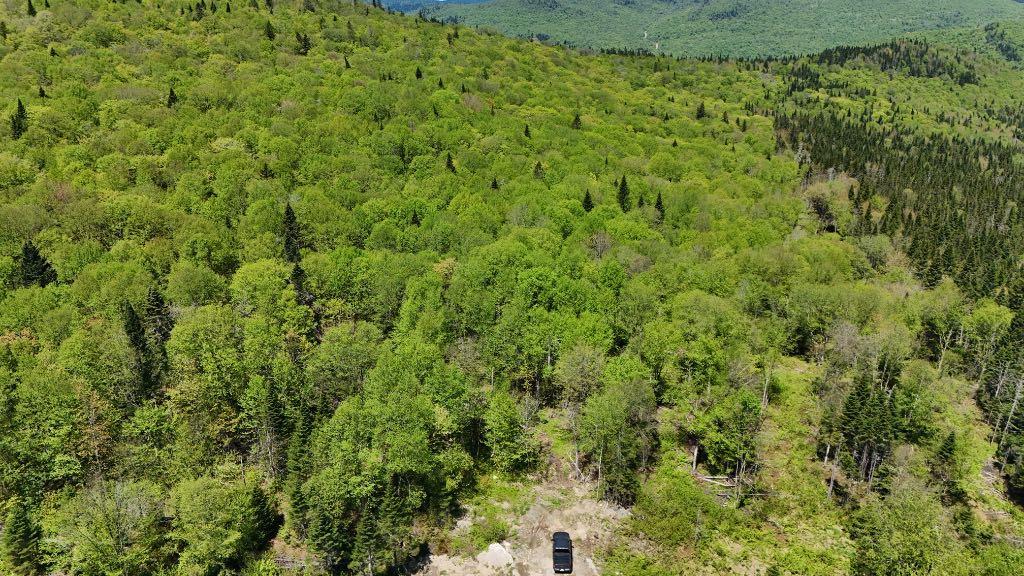 terre à bois à vendre | 2835947