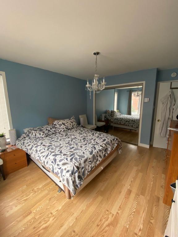 LOGEMENT 5 ET DEMI | 2944317