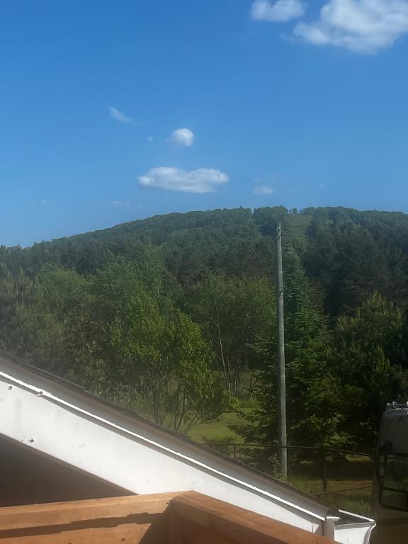 3 1/2 à louer à tremblant | 2838522