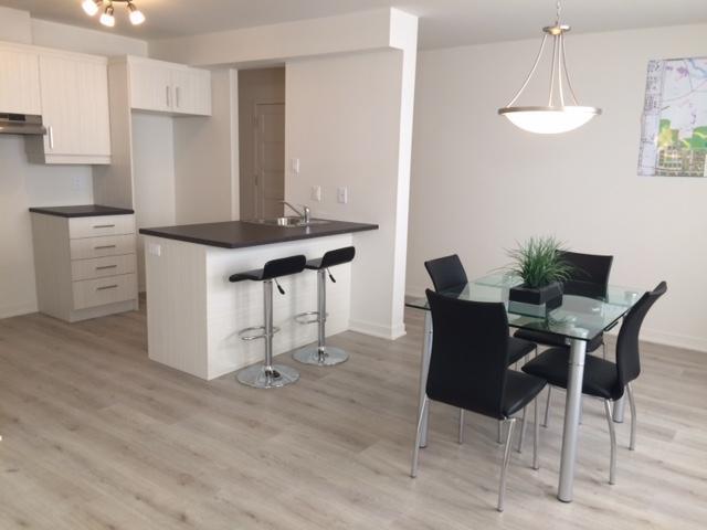 Logement 4 1/2 - 1er octobre 2025 - Saint-Jérôme | 2839245