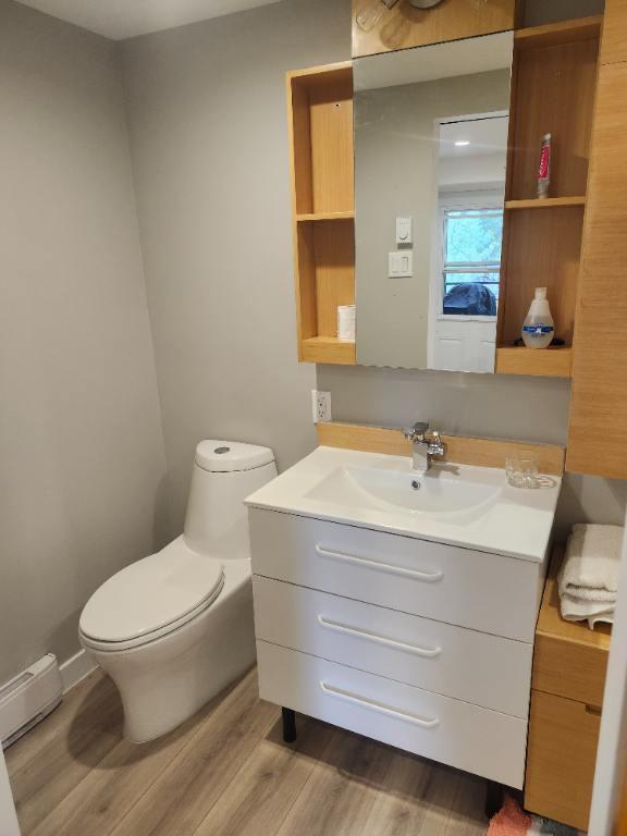 Studio au bord de leau a lentree du parc du mont tremblant | 2840033