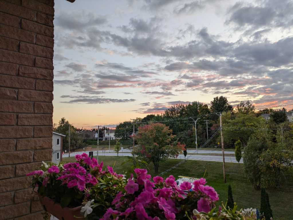 Appartement 4 et demi à sous louer | 2840035