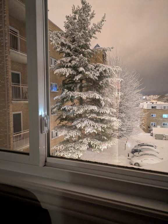 Appartement 4 et demi à sous louer | 2840035