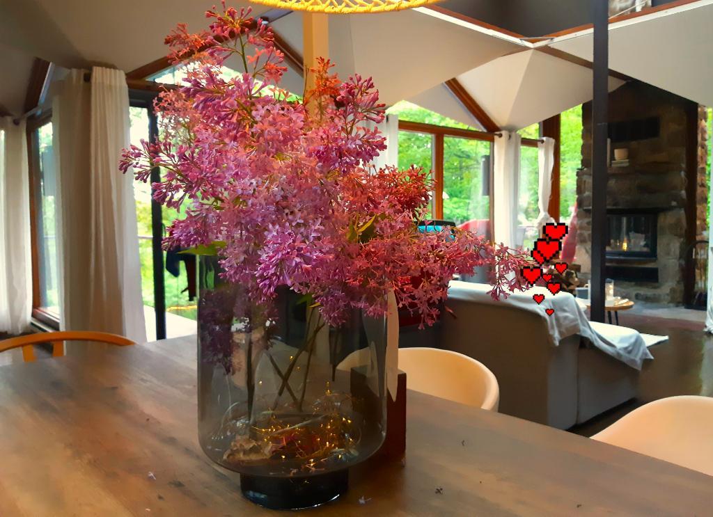 Chalet à louer St- Sauveur dès Novembre 2025 (minimum 5 mois) | 2842696