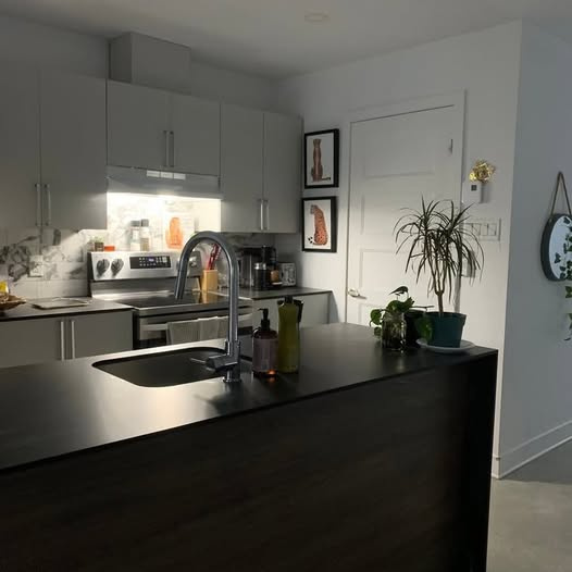 LUXUEUX CONDO 2 CHAMBRES À LOUER | 2846436