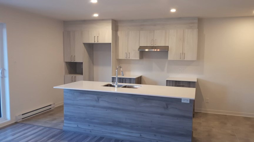 Logement 4 1/2 à Louer Laurentides | 2846631