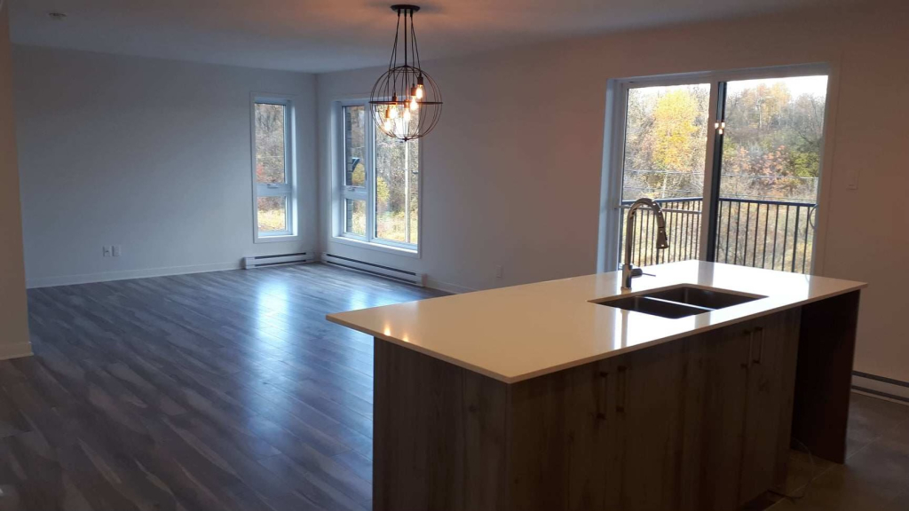 Logement 4 1/2 à Louer Laurentides | 2846631