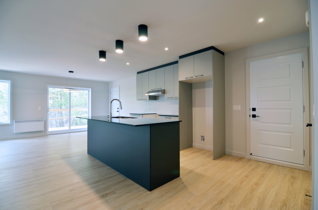 Apts 5-1/2 à Louer NEUFS - Cookshire | 2846728