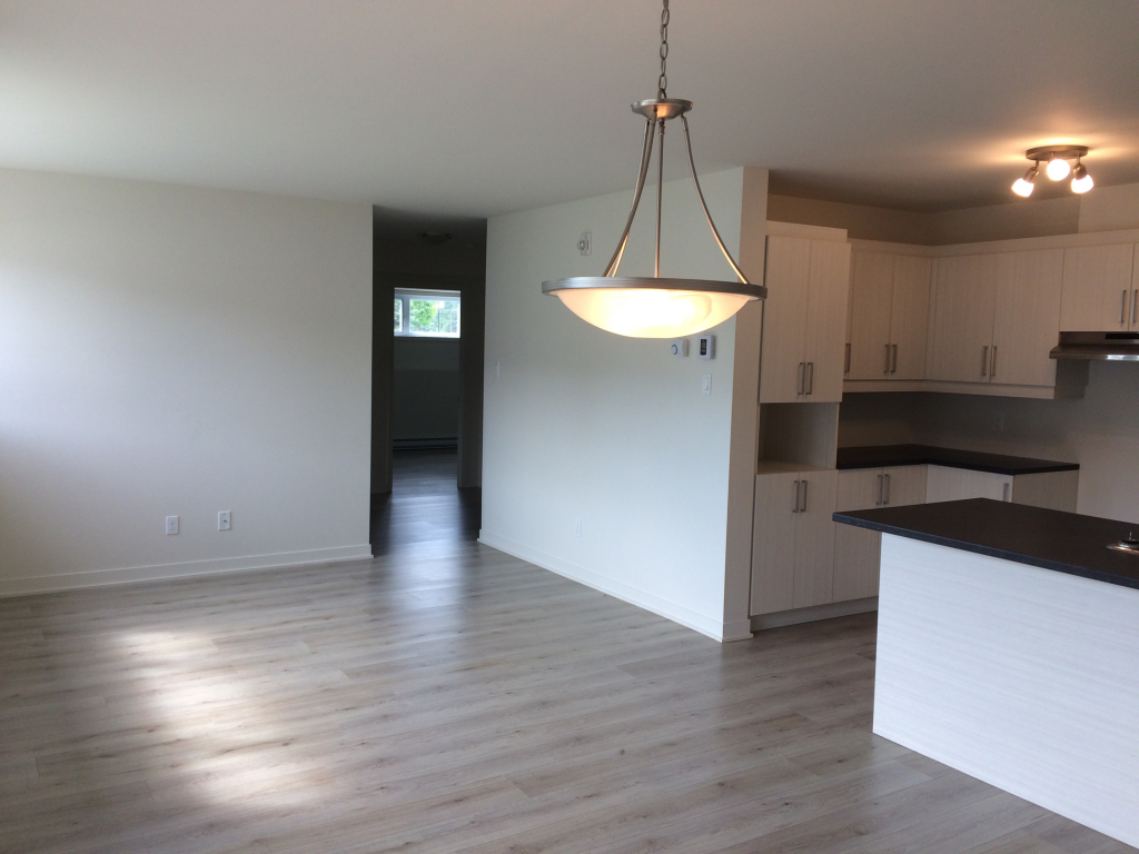 Logement 4 1/2 - 1er Oct - Saint-Jérôme | 2846807