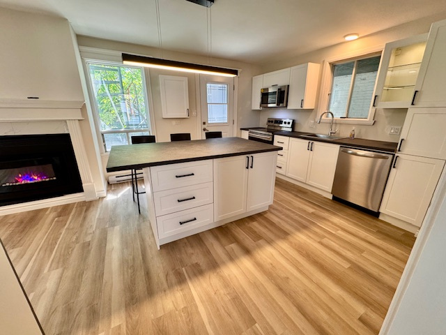 TRÈS Charmant! Grand 4 1/2 Refait à Neuf | 2846975
